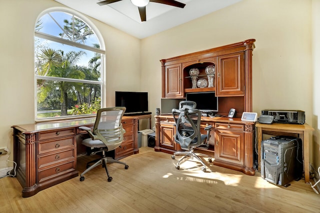 office space with ceiling fan and light hardwood / wood-style floors