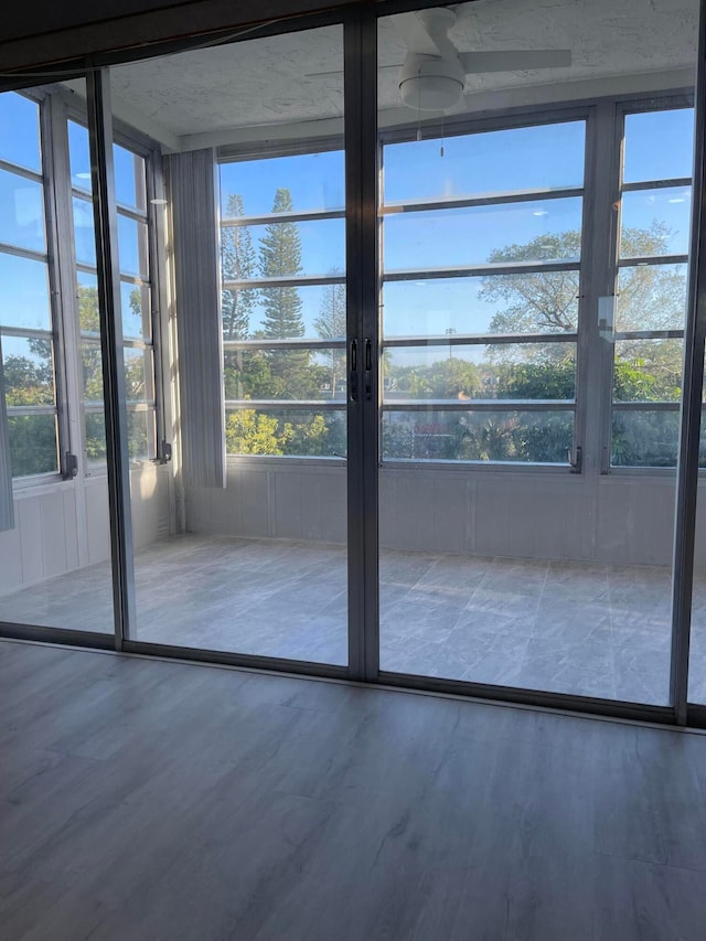 entryway featuring hardwood / wood-style flooring