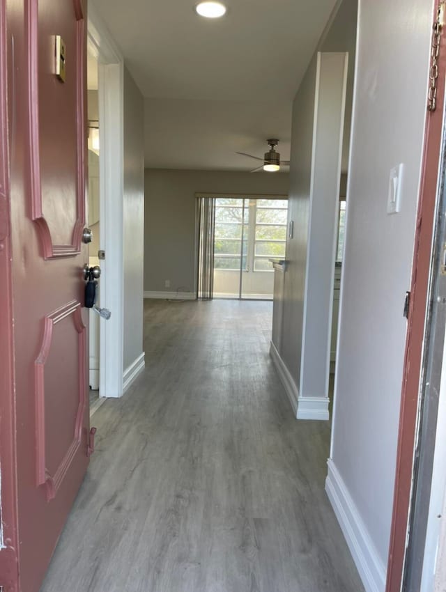 hall featuring light hardwood / wood-style floors