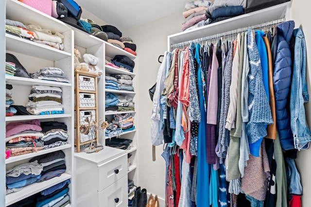 view of walk in closet