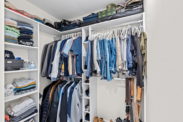 view of spacious closet