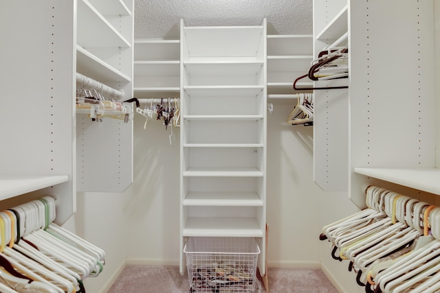 walk in closet with light colored carpet