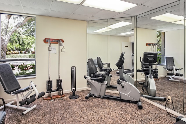 gym featuring a paneled ceiling, carpet flooring, and plenty of natural light