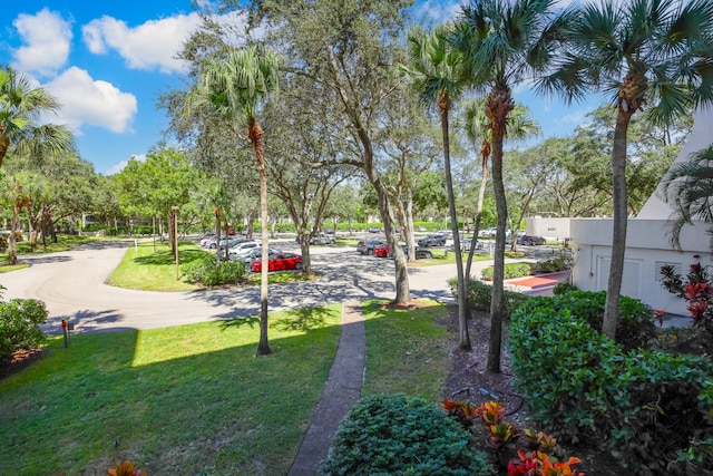 view of home's community with a lawn