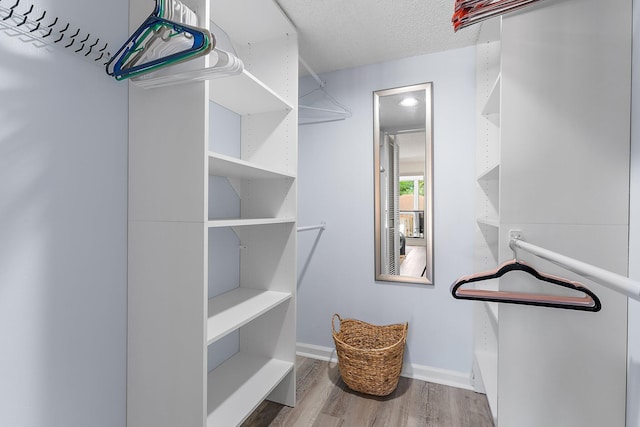 spacious closet featuring hardwood / wood-style floors