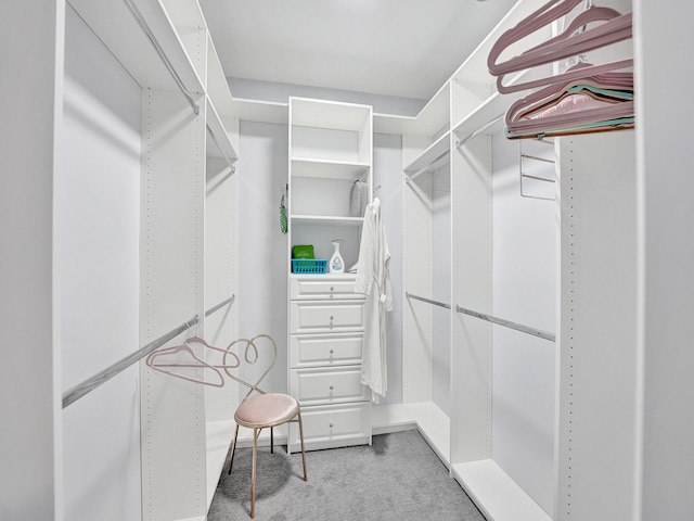 spacious closet featuring light carpet