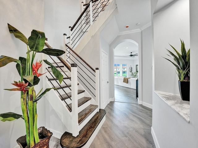 staircase with crown molding, hardwood / wood-style floors, and ceiling fan