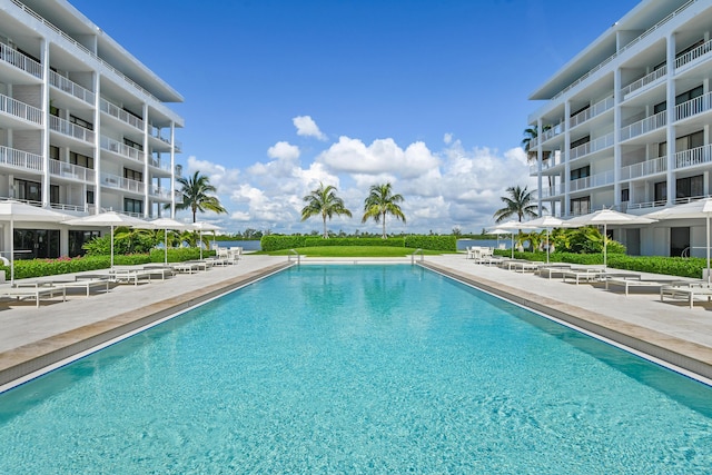 view of swimming pool featuring a patio area