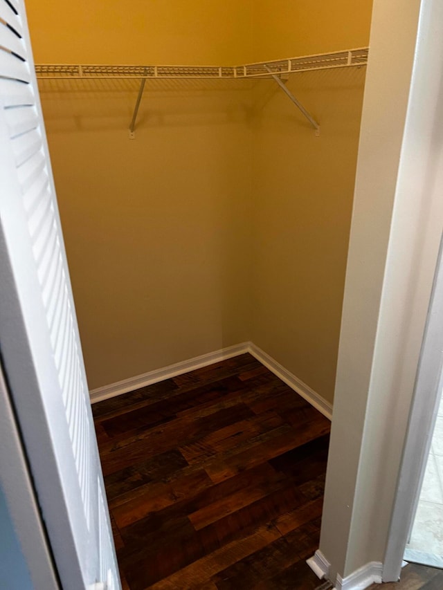 walk in closet with dark hardwood / wood-style flooring