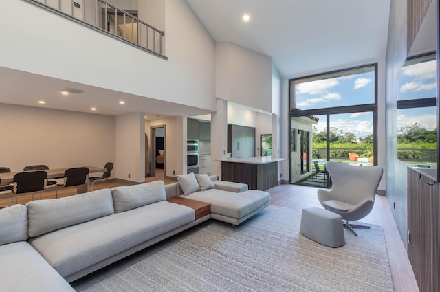 living room featuring hardwood / wood-style flooring and a towering ceiling