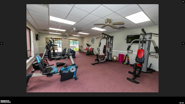 exercise room with a drop ceiling, carpet floors, and ceiling fan