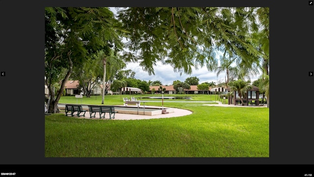 view of community featuring a lawn