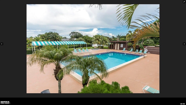 view of swimming pool featuring a patio