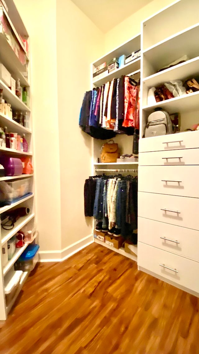 spacious closet with hardwood / wood-style flooring