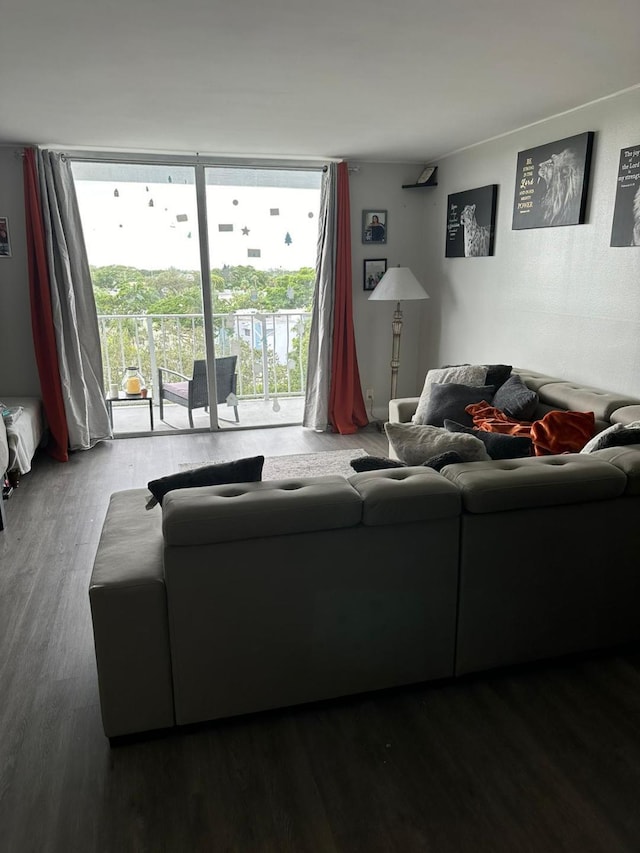 living room with hardwood / wood-style flooring and a wall of windows