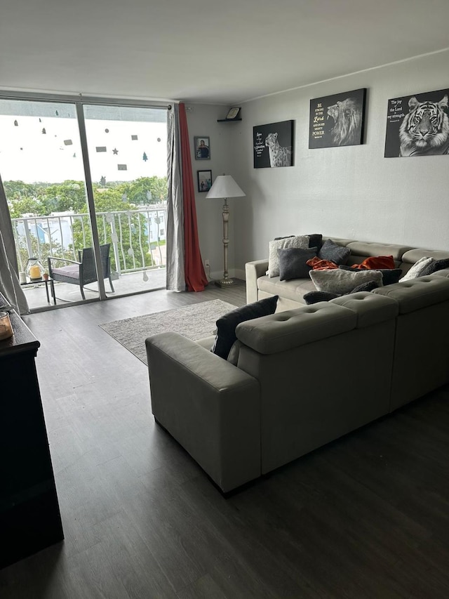 living room with hardwood / wood-style flooring and a wall of windows