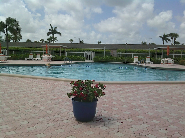 view of pool with a patio