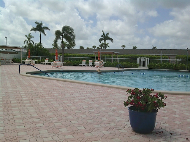 view of swimming pool featuring a patio