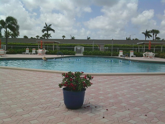 view of swimming pool featuring a patio