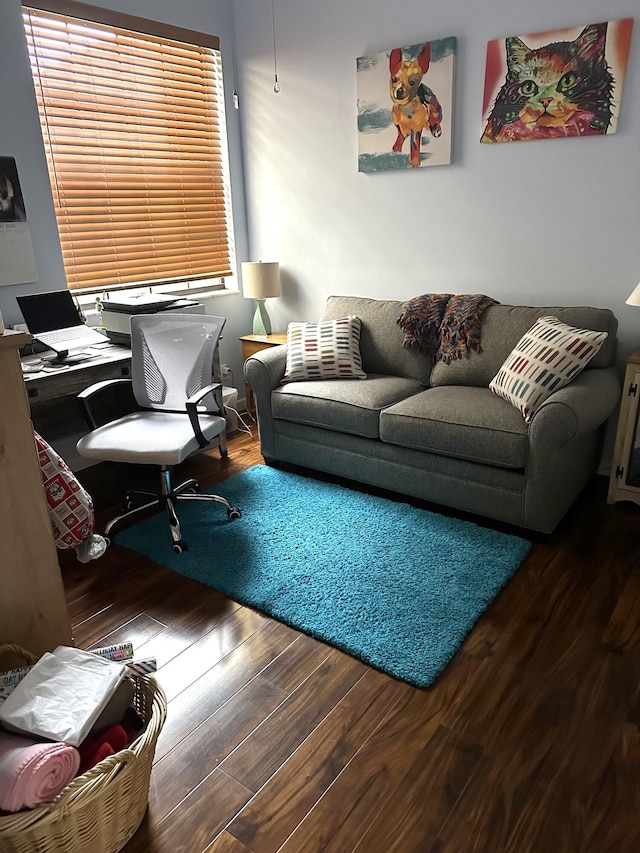 living room with hardwood / wood-style flooring