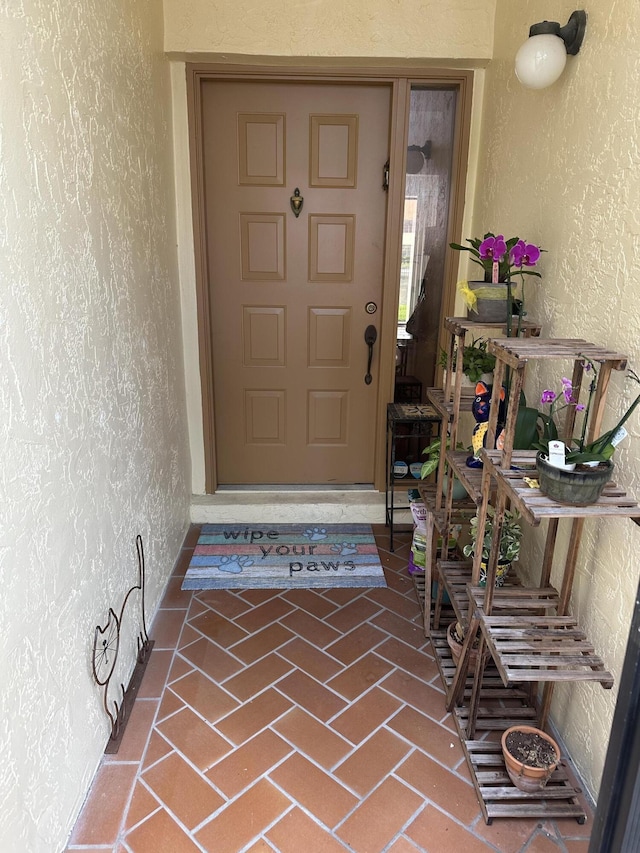 doorway to property featuring stucco siding