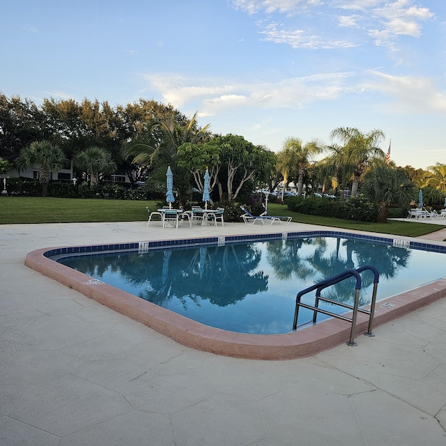 view of pool featuring a patio and a yard