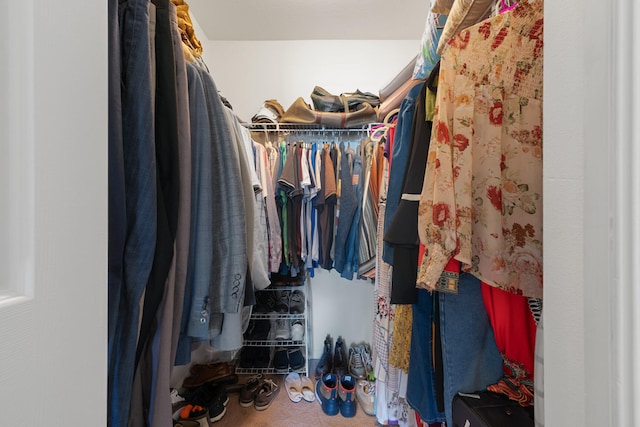 spacious closet with carpet