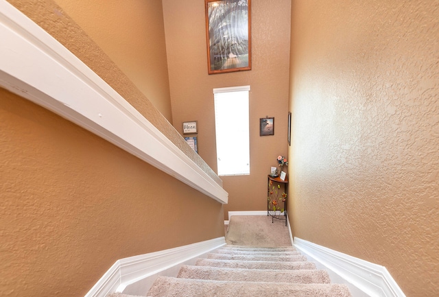 stairs with carpet floors