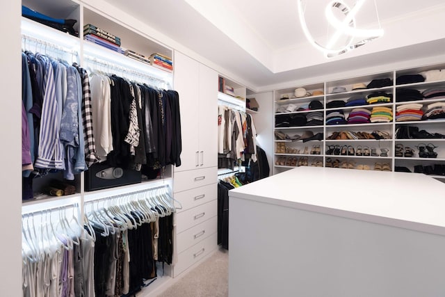 spacious closet featuring light colored carpet and a tray ceiling