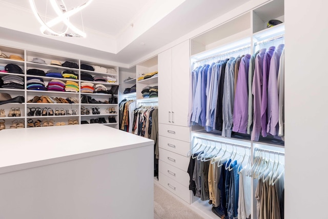 walk in closet with a raised ceiling and light colored carpet