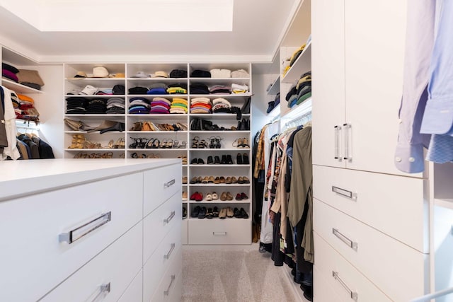 spacious closet featuring light colored carpet