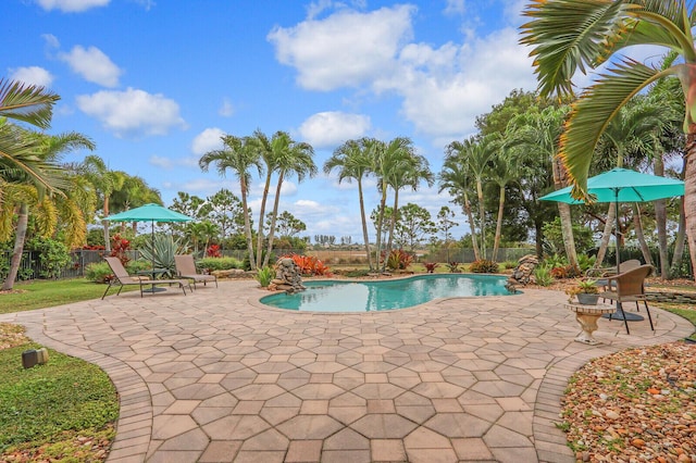 view of pool with a patio