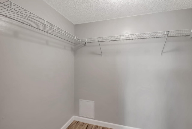 walk in closet featuring wood-type flooring