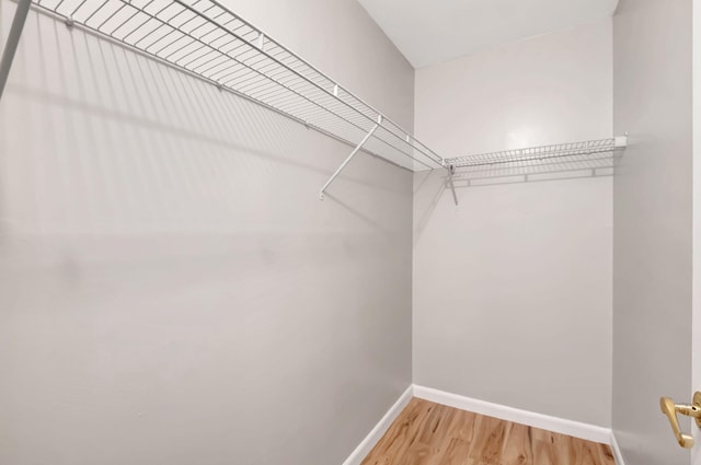 walk in closet with hardwood / wood-style floors