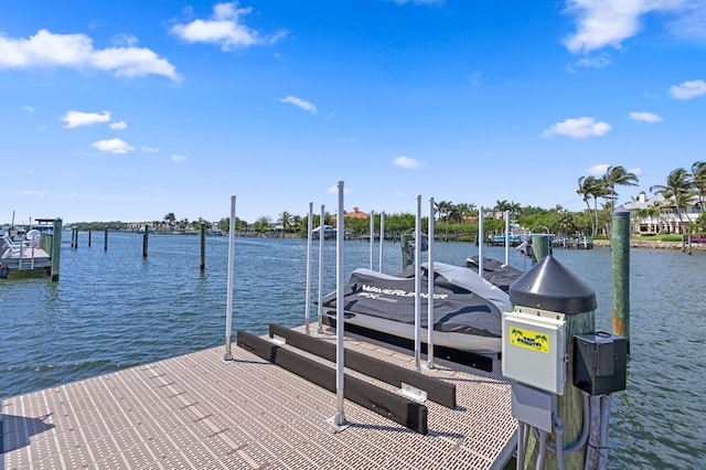 dock area with a water view