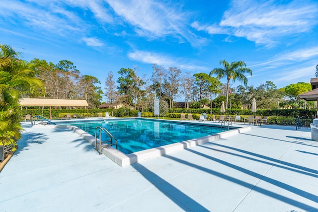 view of pool featuring a patio