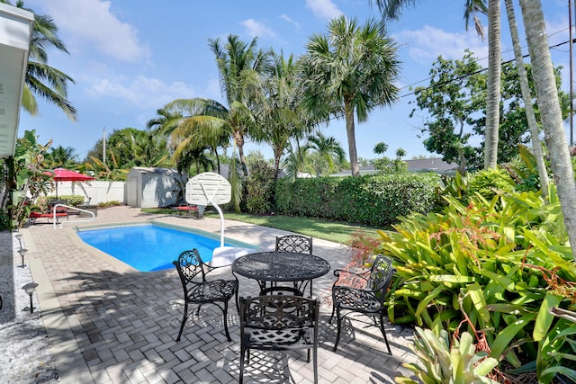 view of pool with a storage shed and a patio