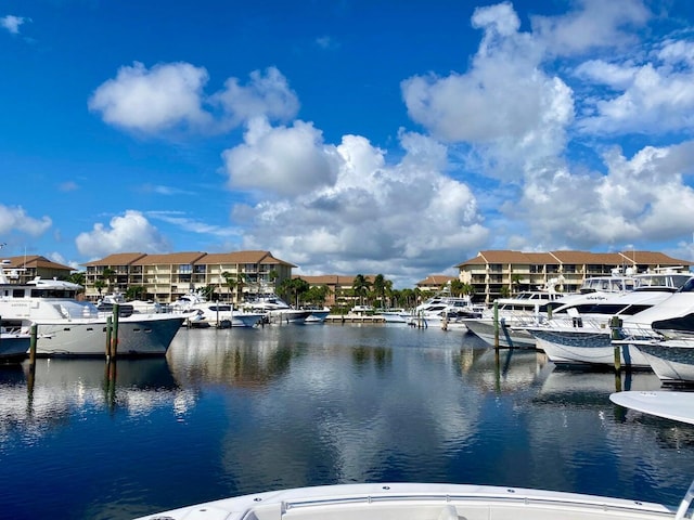 dock area with a water view