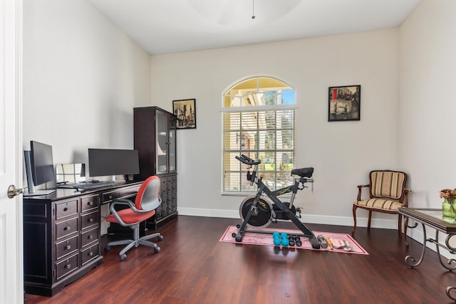 office space featuring baseboards and dark wood-style floors