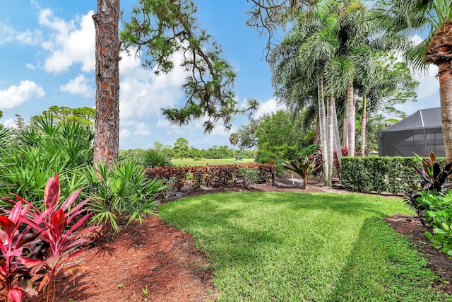 view of yard with a lanai