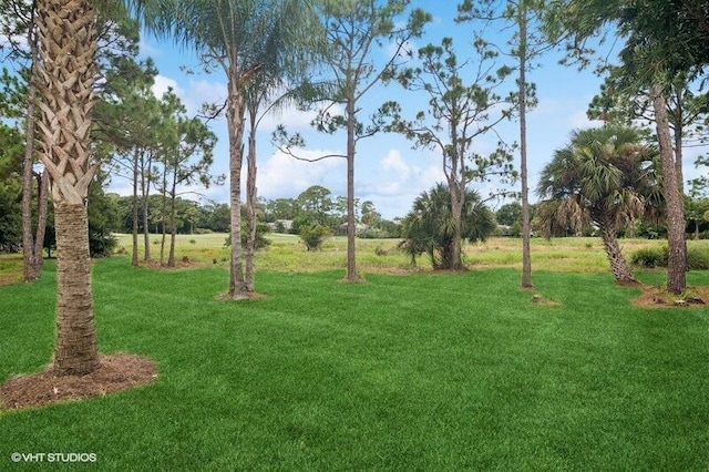 10103 Wild Quail Dr, Port Saint Lucie, FL 34986 - view of yard