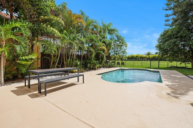 view of swimming pool featuring a patio