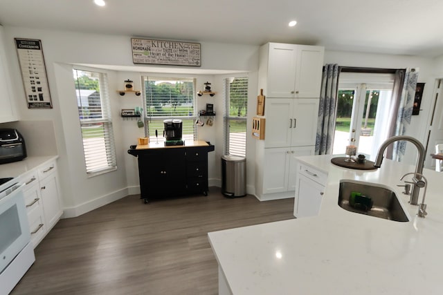 kitchen with white cabinetry, plenty of natural light, and sink