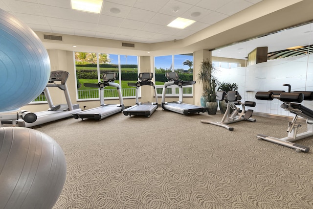 workout area with light colored carpet and a paneled ceiling