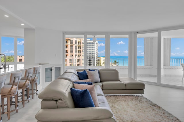 living room featuring a water view, a healthy amount of sunlight, and light hardwood / wood-style flooring