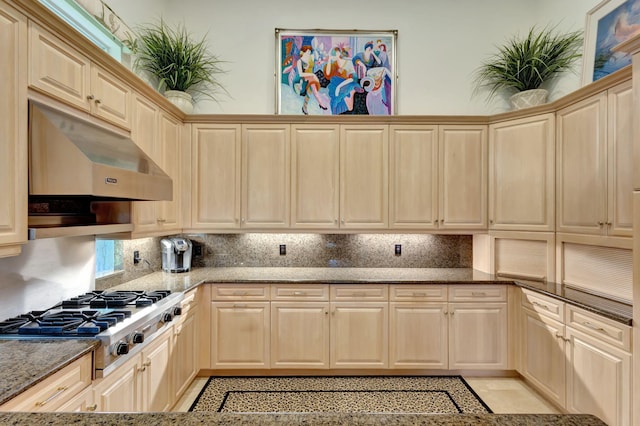 kitchen featuring under cabinet range hood, tasteful backsplash, stainless steel gas stovetop, and light stone counters