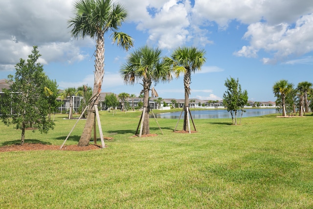 view of community featuring a yard and a water view