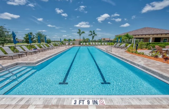 view of pool with a patio area