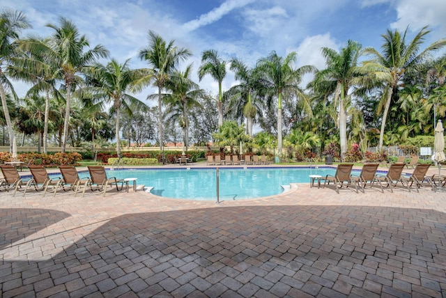 view of swimming pool featuring a patio area