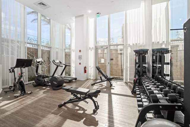 gym with light hardwood / wood-style flooring and floor to ceiling windows